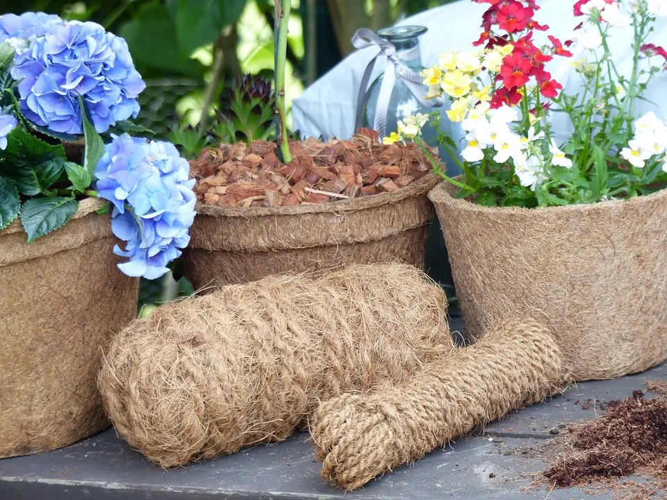 Bäume richtig anbinden mit Naturfaser